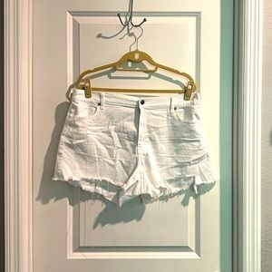 aerie Daydream Short